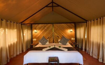 iganyana-wild_image-gallery-3