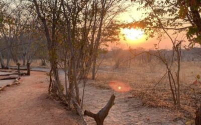 iganyana-wild_image-gallery-4