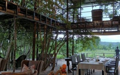 iganyana-wild_image-gallery-5