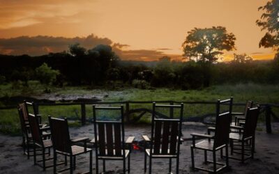 iganyana-wild_image-gallery-6